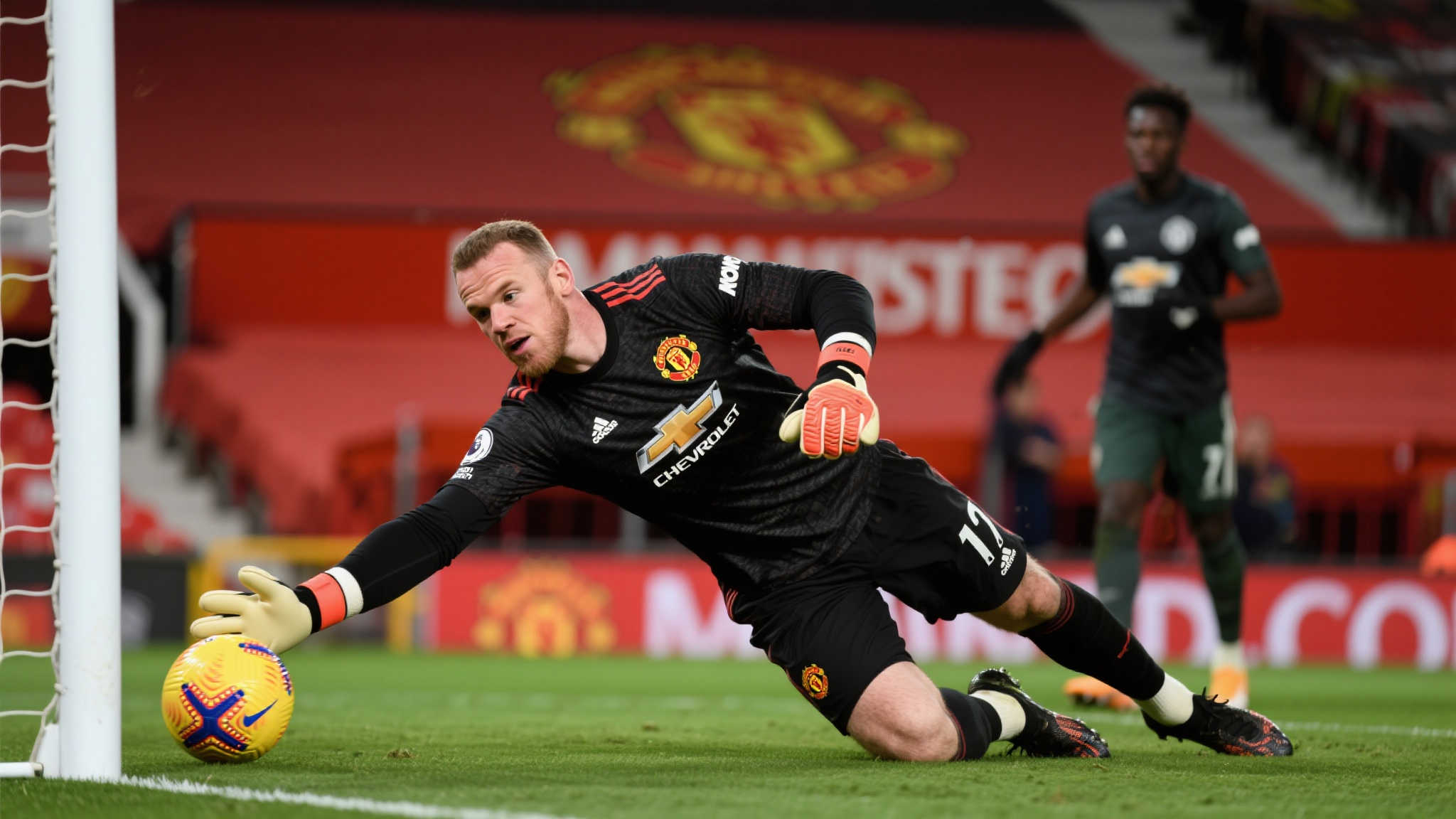 科雷亚与阿 科雷亚与阿