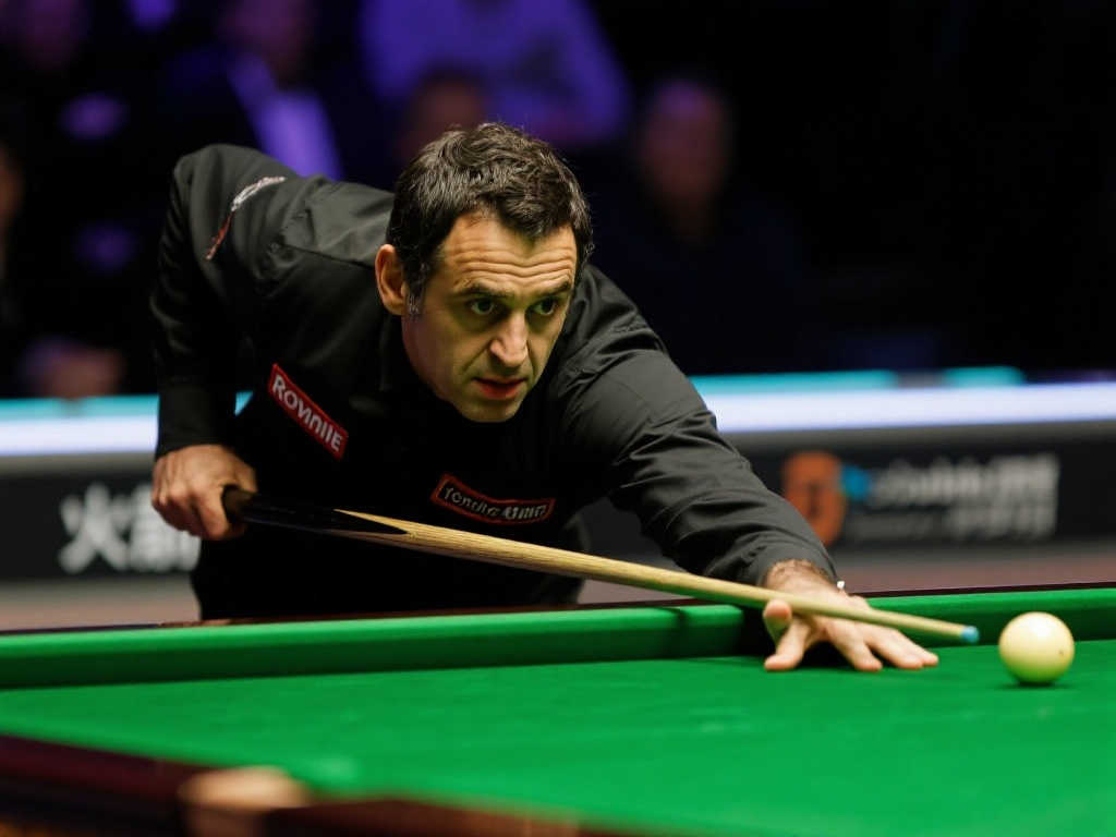 球迷们的热 球迷们的热